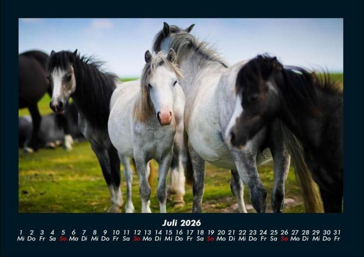 Produktbild: Pferdegefl&uuml;ster 2026 Fotokalender DIN A4
