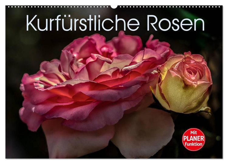 Produktbild: Kurf&uuml;rstliche Rosen Eltville am Rhein (Wandkalender 2026 DIN A2 quer), CALVENDO Monatskalender