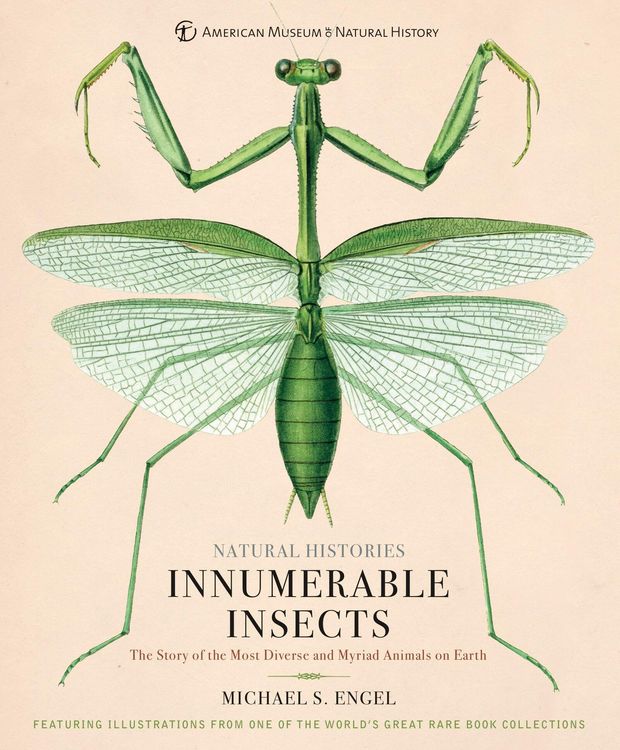 Produktbild: Innumerable Insects