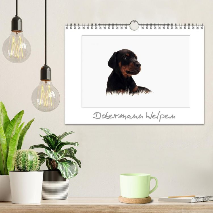 Produktbild: Dobermann Welpen (Wandkalender 2026 DIN A4 quer), CALVENDO Monatskalender