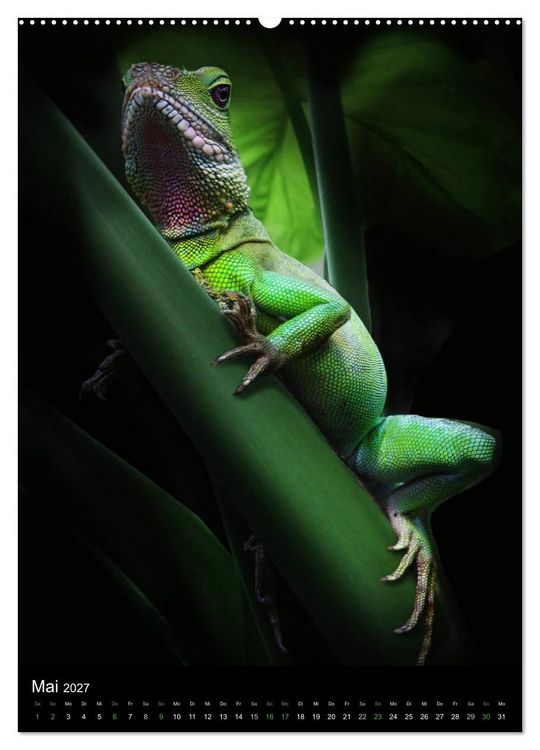 Produktbild: Auge in Auge mit coolen Typen - REPTILIEN (hochwertiger Premium Wandkalender 2027 DIN A2 hoch), Kunstdruck in Hochglanz