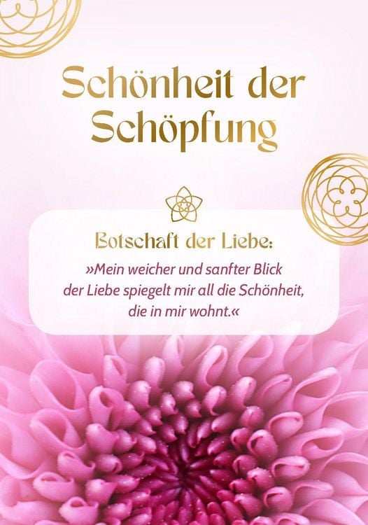 Produktbild: Blume der Liebe - 40 inspirierende Impulse f&uuml;r gelebte Liebe