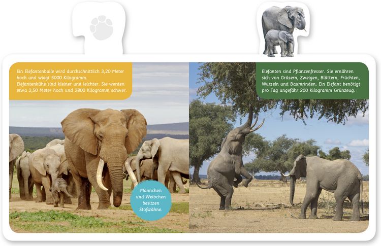 Produktbild: Der Elefant