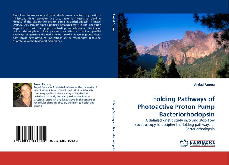 Produktbild: Folding Pathways of Photoactive Proton Pump Bacteriorhodopsin