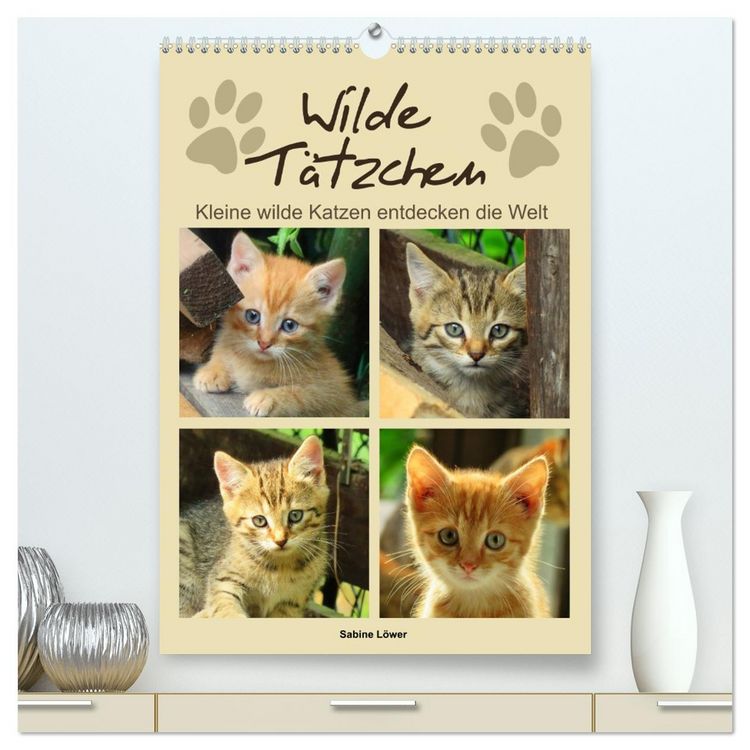 Produktbild: Wilde T&auml;tzchen, kleine wilde Katzen entdecken die Welt (hochwertiger Premium Wandkalender 2026 DIN A2 hoch), Kunstdruck in Hochglanz