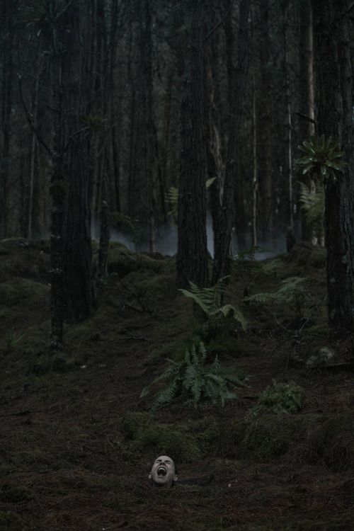 Produktbild: Quicksand - Gefangen im Treibsand