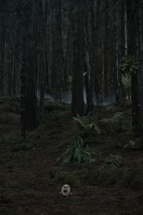 Produktbild: Quicksand - Gefangen im Treibsand