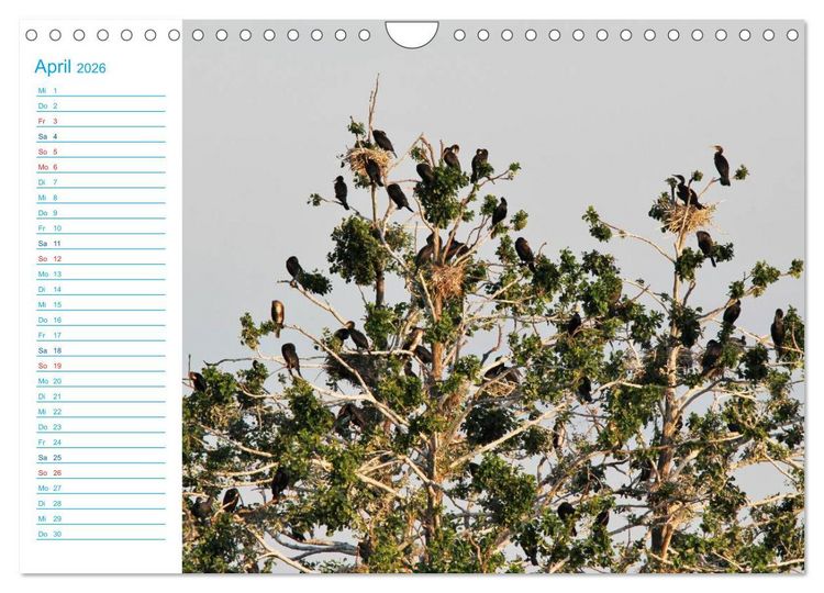 Produktbild: Urlaubsparadies Scharm&uuml;tzelsee (Wandkalender 2026 DIN A4 quer), CALVENDO Monatskalender