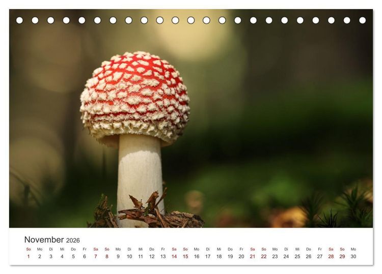 Produktbild: Der etwas andere Blickwinkel (Tischkalender 2026 DIN A5 quer), CALVENDO Monatskalender