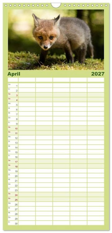 Produktbild: Familienplaner 2027 - Bei den Jungf&uuml;chsen mit 5 Spalten (Wandkalender, 21 x 45 cm) CALVENDO