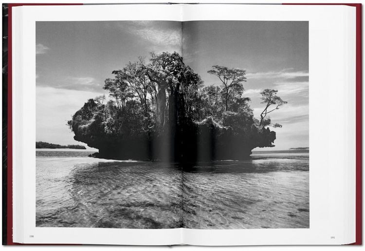 Produktbild: Sebasti&atilde;o Salgado. G&eacute;nesis