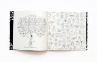 Produktbild: Mein geheimnisvoller Garten
