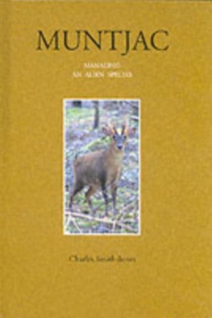 Produktbild: Muntjac