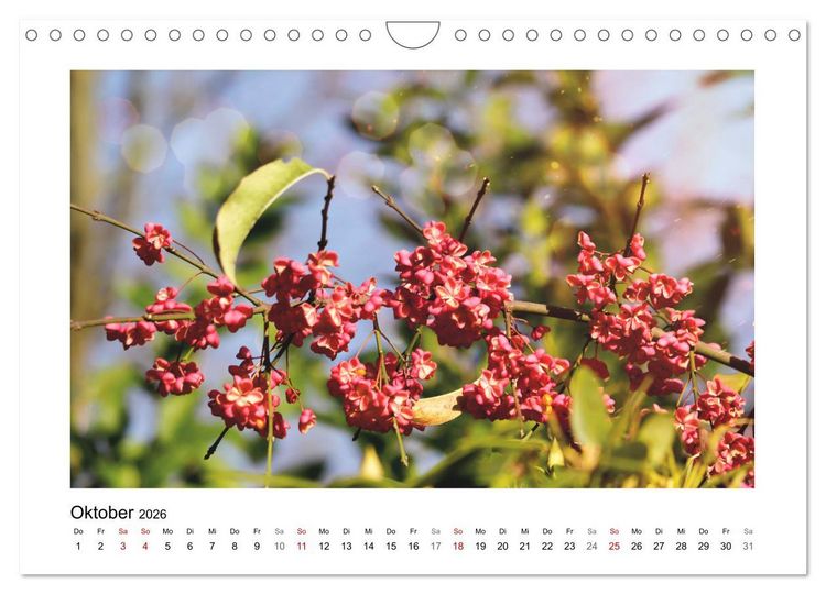 Produktbild: Mein Sehnsuchtsort, der Garten (Wandkalender 2026 DIN A4 quer), CALVENDO Monatskalender