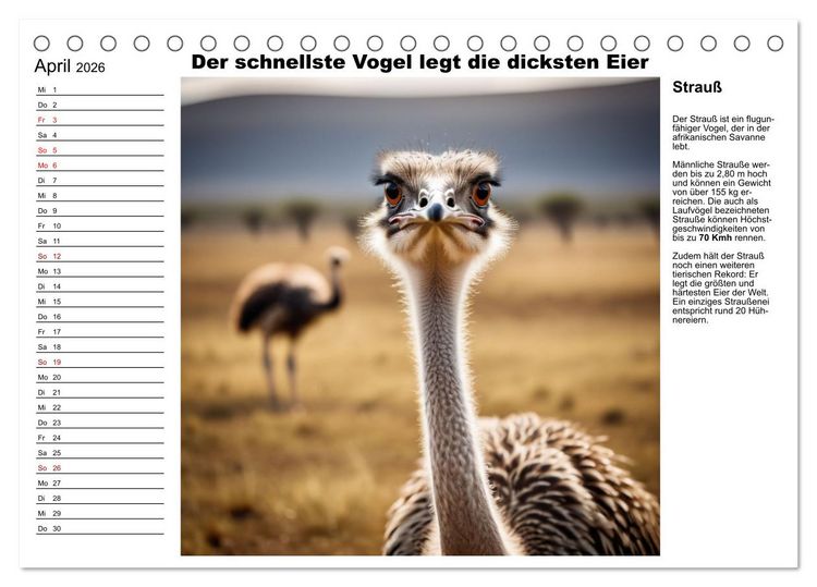 Produktbild: Tierische Rekorde (Tischkalender 2026 DIN A5 quer), CALVENDO Monatskalender