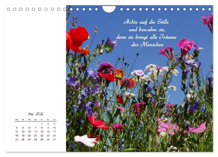 Produktbild: Innehalten in der Natur ... mit Weisheiten und Sprichworten der Indianer (Wandkalender 2026 DIN A4 quer), CALVENDO Monatskalender