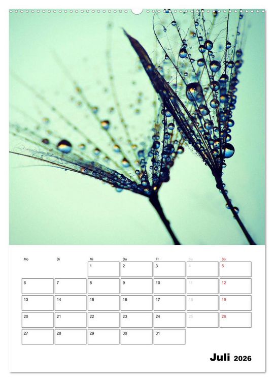 Produktbild: Pusteblumentraum - Dreams of Dandelion (Wandkalender 2026 DIN A2 hoch), CALVENDO Monatskalender