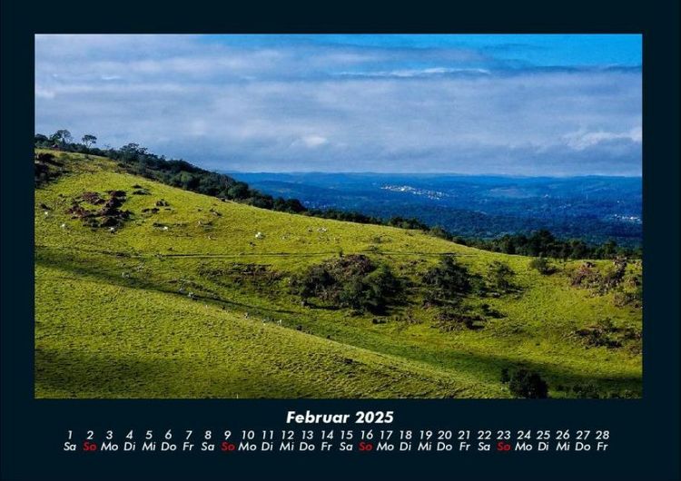Produktbild: Bilder der Natur 2025 Fotokalender DIN A4