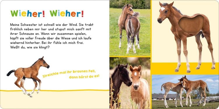 Produktbild: H&ouml;r mal rein, wer kann das sein? Meine Schwester