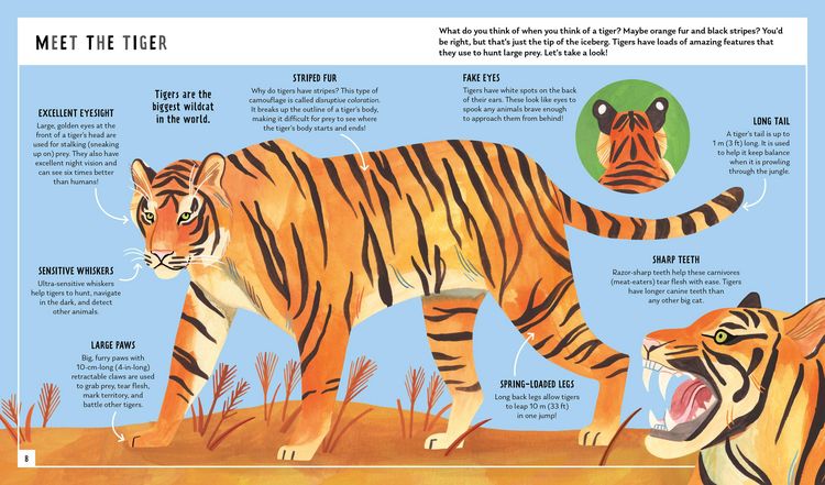 Produktbild: Tiger (Young Zoologist)