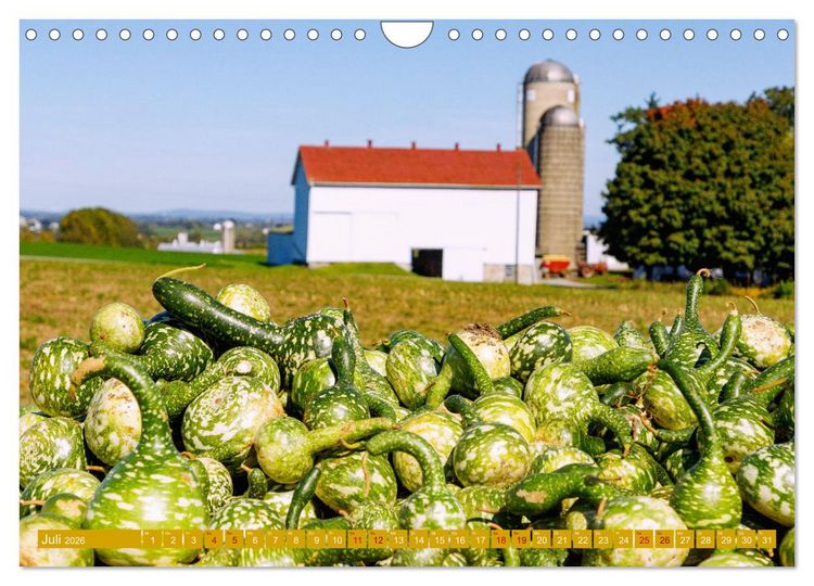 Produktbild: Pennsylvania. Die Wiege der USA zwischen Tradition und Moderne (Wandkalender 2026 DIN A4 quer), CALVENDO Monatskalender