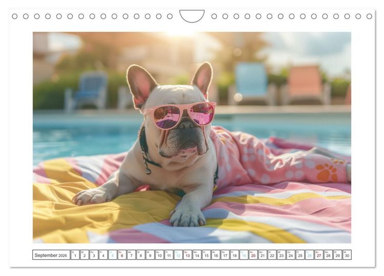 Produktbild: Hei&szlig;er Sommer (Wandkalender 2026 DIN A4 quer), CALVENDO Monatskalender