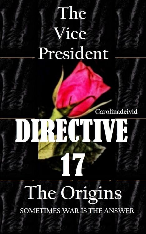 Produktbild: The Vice President Directive 17