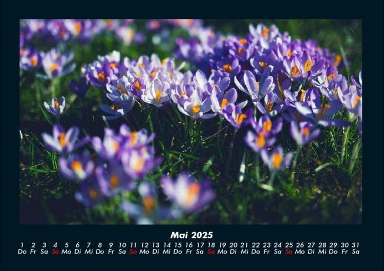 Produktbild: Blumentraum 2025 Fotokalender DIN A4