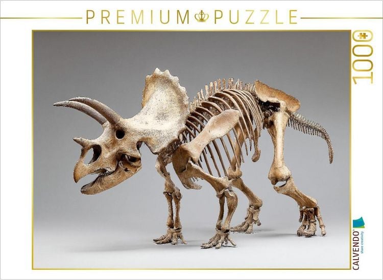Produktbild: CALVENDO Puzzle Dinosaurier Triceratops-Skelett mit H&ouml;rnern und gro&szlig;em Nackenschild | 1000 Teile Lege-Gr&ouml;&szlig;e 64x48cm Foto-Puzzle f&uuml;r gl&uuml;ckliche Stunden