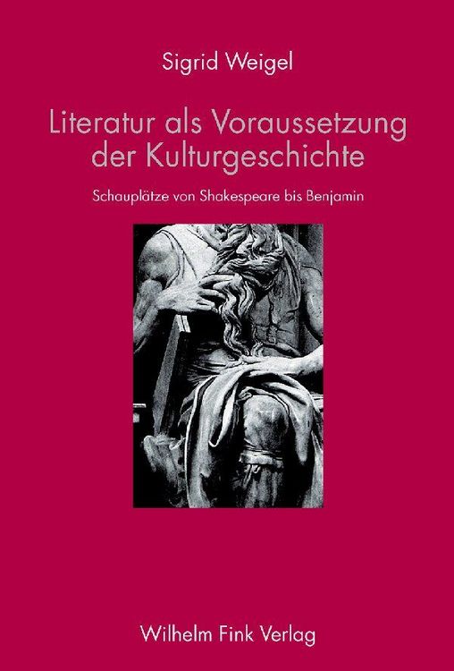 Produktbild: Literatur als Voraussetzung der Kulturgeschichte