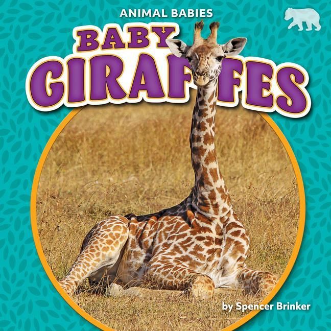 Produktbild: Baby Giraffes