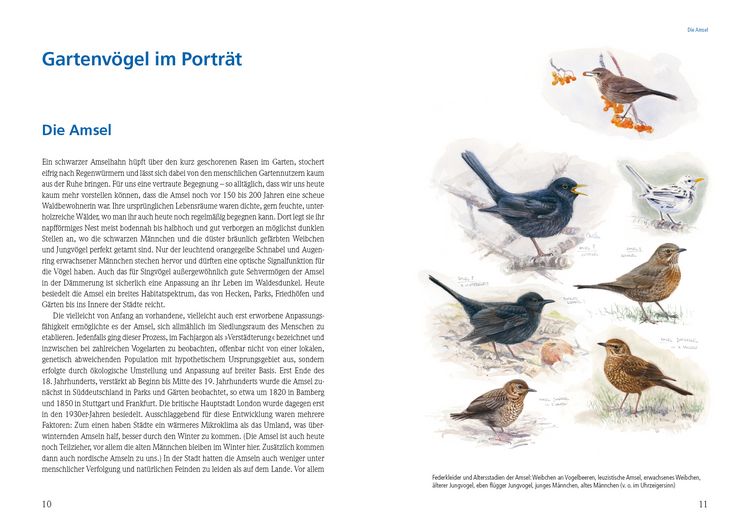 Produktbild: Das gro&szlig;e Buch der Gartenv&ouml;gel