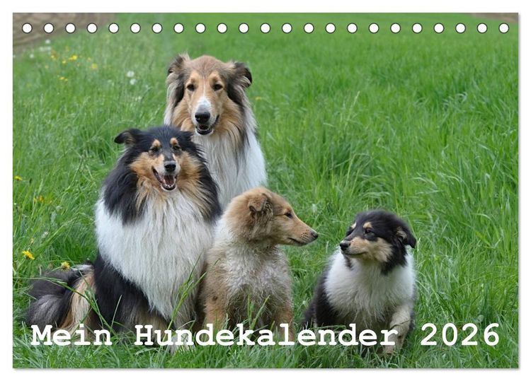 Produktbild: Mein Hundekalender 2026 (Tischkalender 2026 DIN A5 quer), CALVENDO Monatskalender
