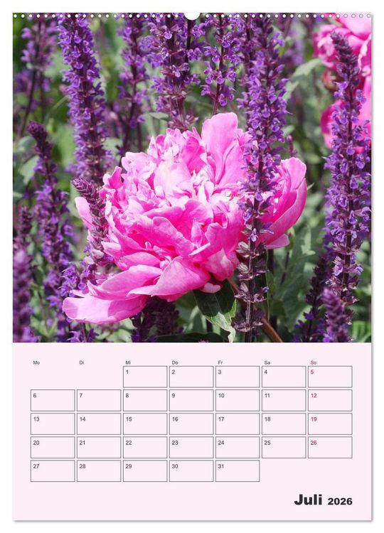 Produktbild: Pfingstrosen Rosen ohne Dornen (Wandkalender 2026 DIN A2 hoch), CALVENDO Monatskalender