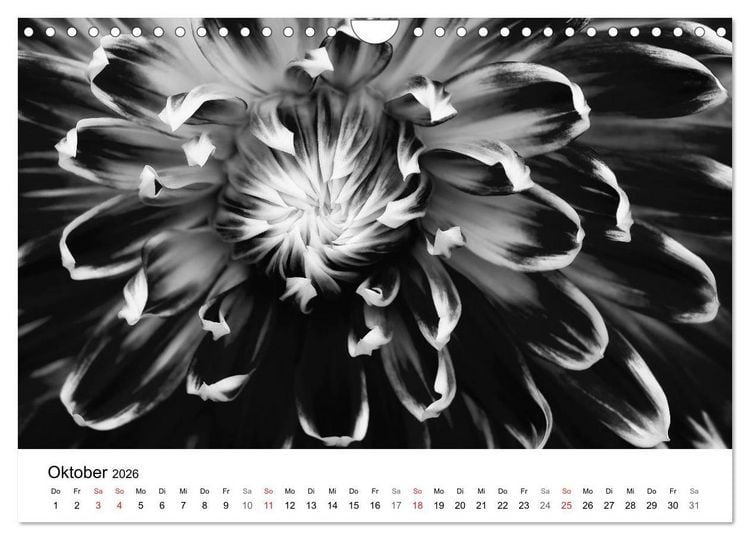 Produktbild: Blumen 2026, Schwarz-Wei&szlig; (Wandkalender 2026 DIN A4 quer), CALVENDO Monatskalender