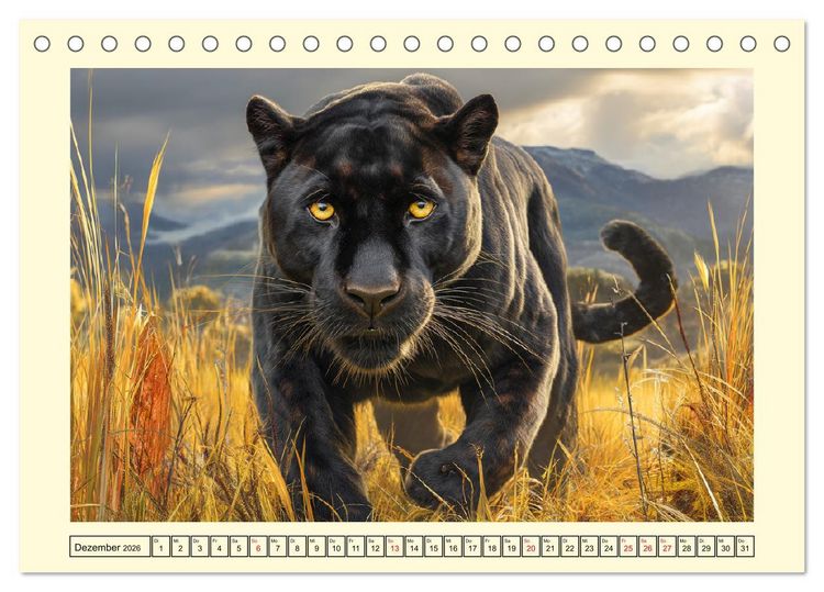 Produktbild: Schwarze Panther. Geheimnisvolle Schatten der Wildnis (Tischkalender 2026 DIN A5 quer), CALVENDO Monatskalender