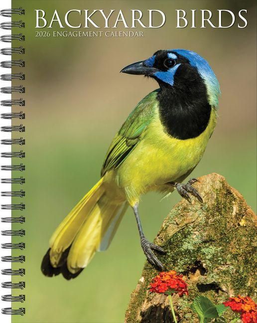 Produktbild: Backyard Birds 2026 Engagement Calendar