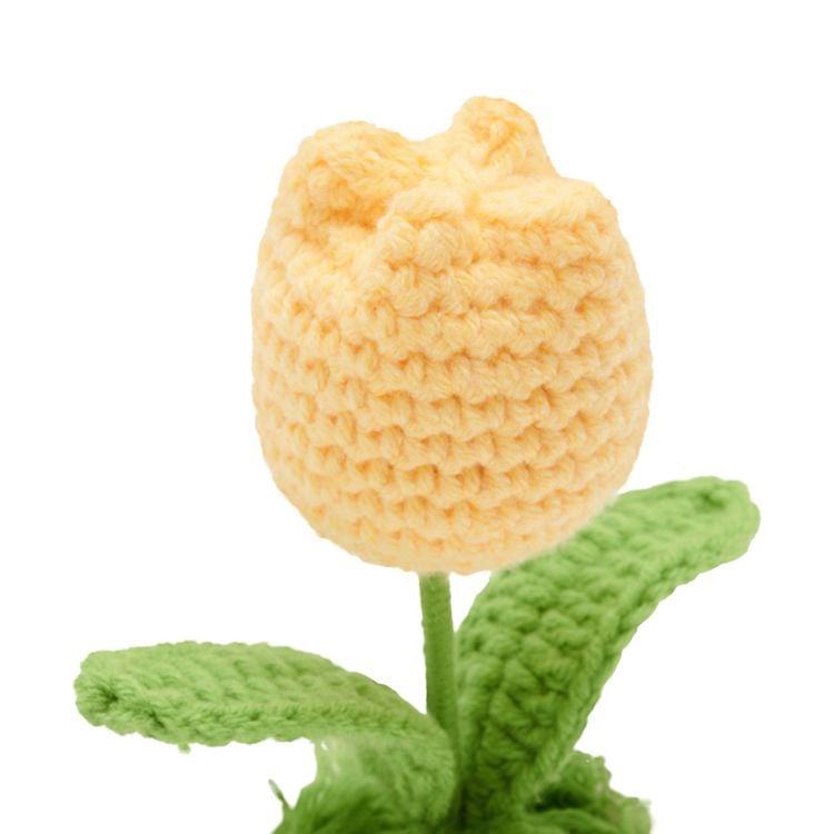 Produktbild: H&auml;kelblume, sortiert - 1 St&uuml;ck