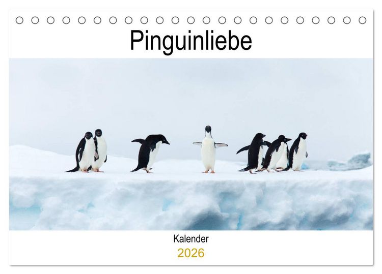 Produktbild: Pinguinliebe (Tischkalender 2026 DIN A5 quer), CALVENDO Monatskalender