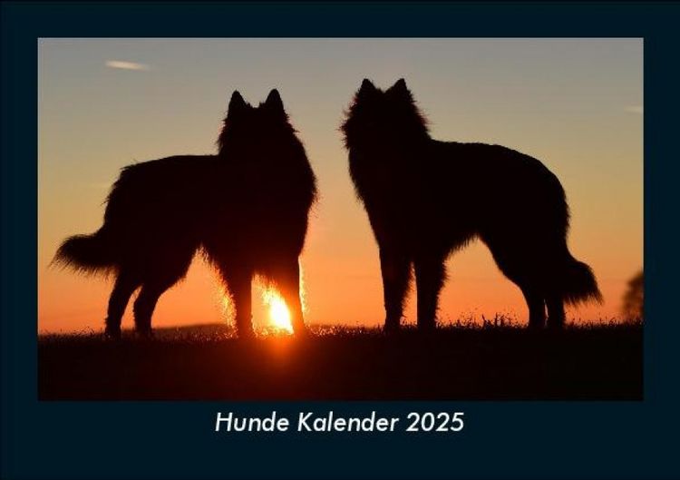 Produktbild: Hunde Kalender 2025 Fotokalender DIN A5