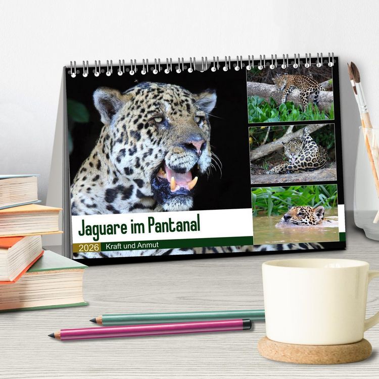 Produktbild: Jaguare im Pantanal (Tischkalender 2026 DIN A5 quer), CALVENDO Monatskalender