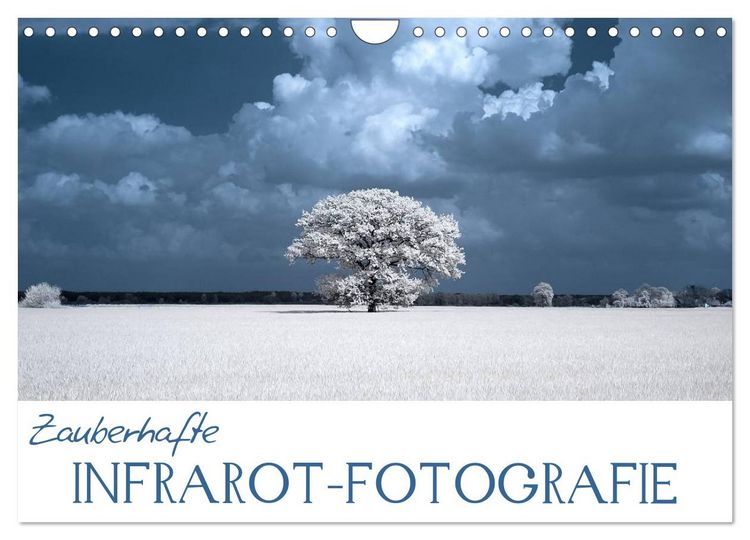 Produktbild: Zauberhafte Infrarot-Fotografie (Wandkalender 2026 DIN A4 quer), CALVENDO Monatskalender