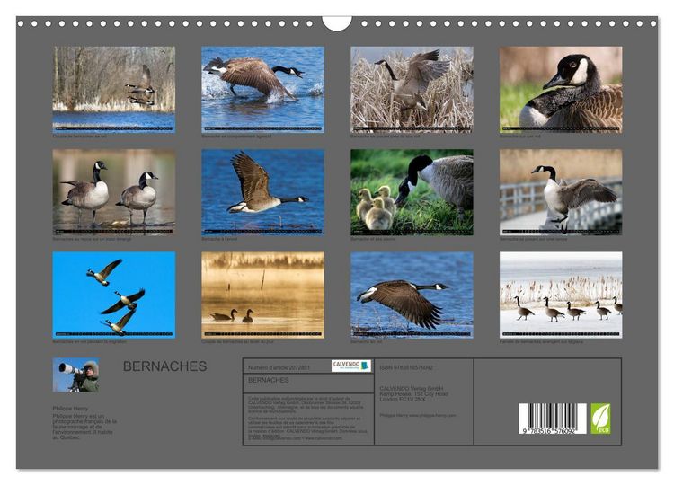 Produktbild: BERNACHES (Calendrier mural 2026 DIN A3 vertical), CALVENDO calendrier mensuel