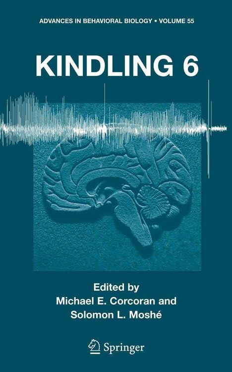 Produktbild: Kindling 6