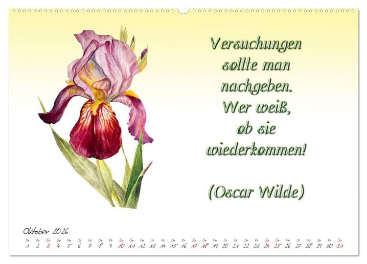 Produktbild: 12 unterhaltsame Zitate f&uuml;r ein sch&ouml;nes Jahr (hochwertiger Premium Wandkalender 2026 DIN A2 quer), Kunstdruck in Hochglanz