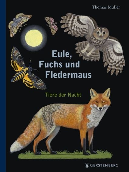 Produktbild: Eule, Fuchs und Fledermaus