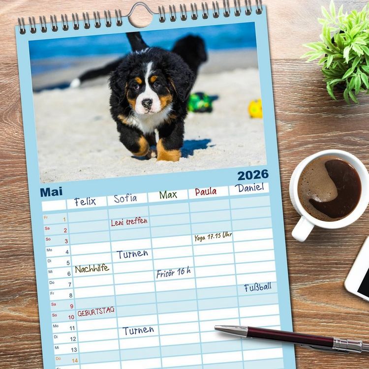 Produktbild: Familienplaner 2026 - Seeb&auml;rchen entdecken die Welt - Berner Sennenhunde mit 5 Spalten (Wandkalender, 21 x 45 cm) CALVENDO