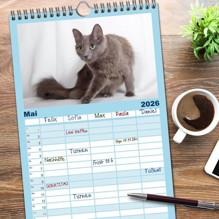 Produktbild: Familienplaner 2026 - Nebelung Katzen mit 5 Spalten (Wandkalender, 21 x 45 cm) CALVENDO
