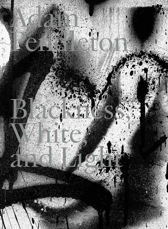 Produktbild: Adam Pendleton. Blackness, White and Light (English)