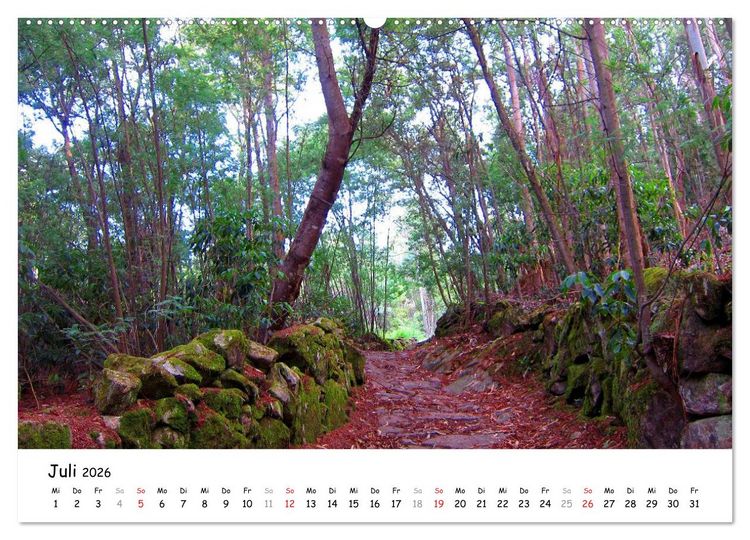 Produktbild: Jakobsweg - Camino Portugues (Wandkalender 2026 DIN A2 quer), CALVENDO Monatskalender